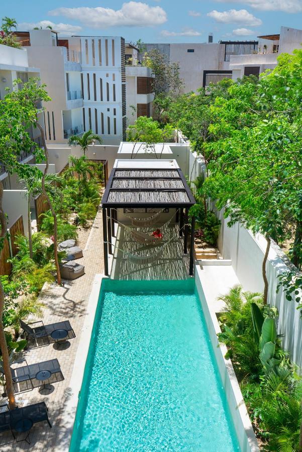 Private Pool And Roof Top For 3 In La Veleta Tulum Exteriör bild